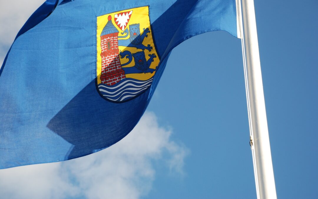 Sous quel étendard nous rangeons nous ?