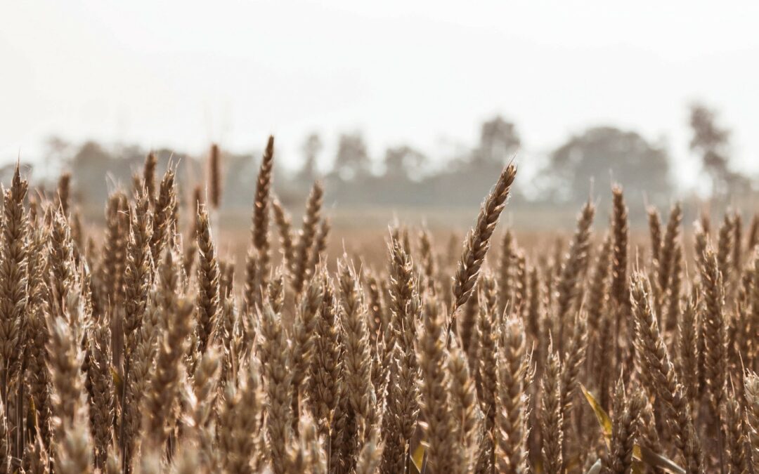 Le coin du prédicateur : Le grand « Je suis » est avec toi et c&rsquo;est lui qui t’envoie en mission